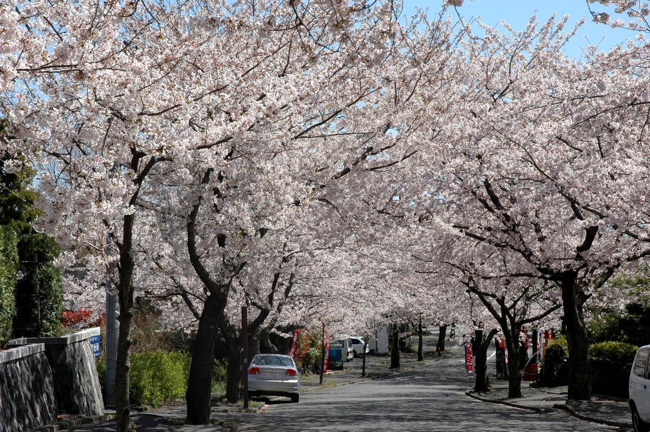 Ito Ryokuyu Hotel Luaran gambar